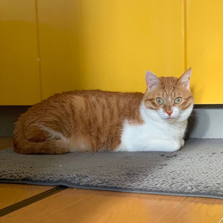 Bbff9583 a8cc 4c1f b37e 2bd40b01e8cb 1551410584306