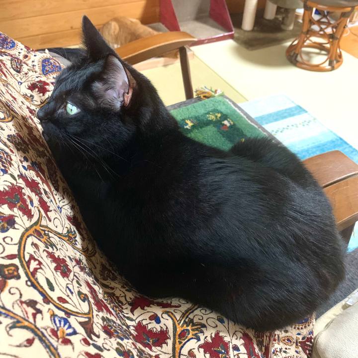 Bbffb492 df45 4de8 af6f 8d55338f337c 1593823254140