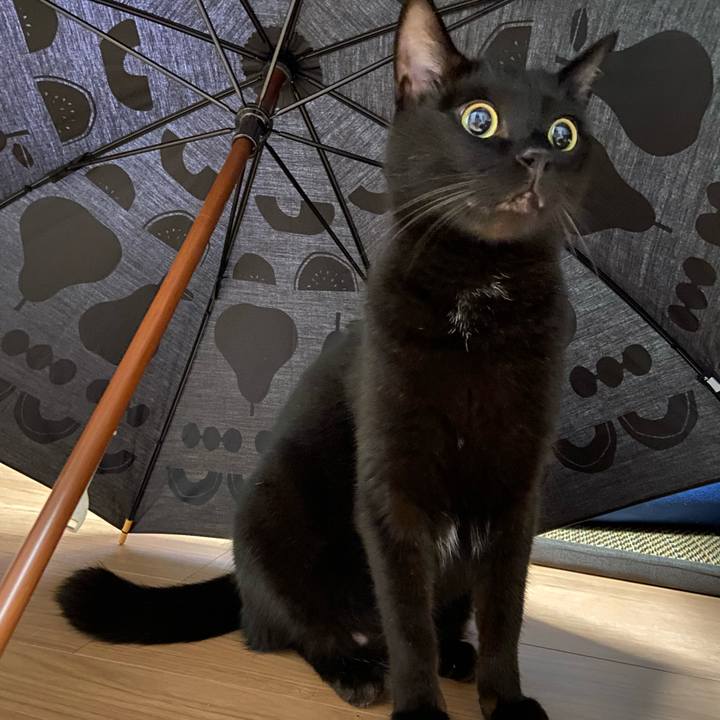 Bbffb500 063e 4f07 8931 929257175a66 1656760414636