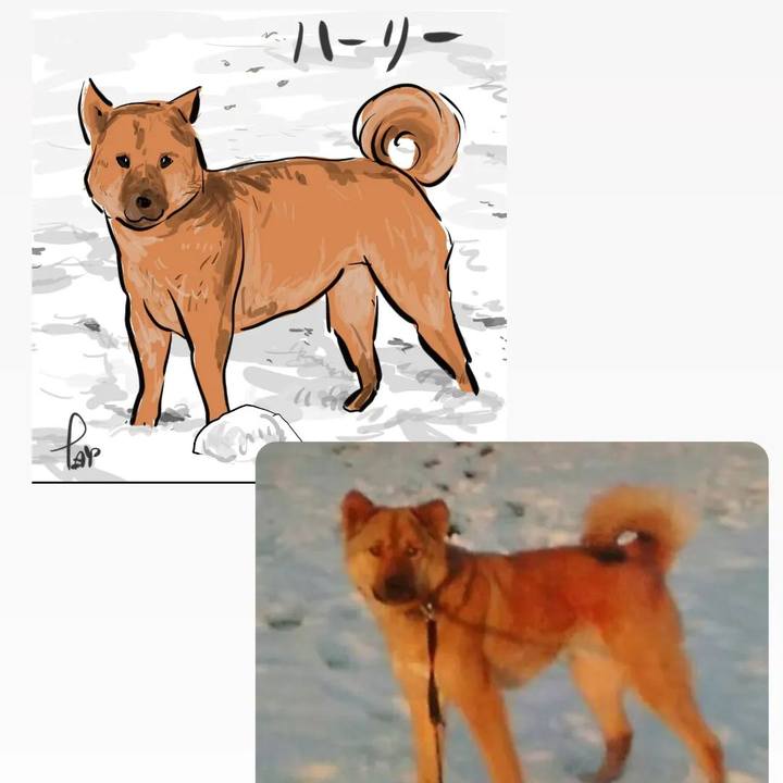 Bc0003f5 d27d 47ab a31b fc7938cbef58 1705061365629