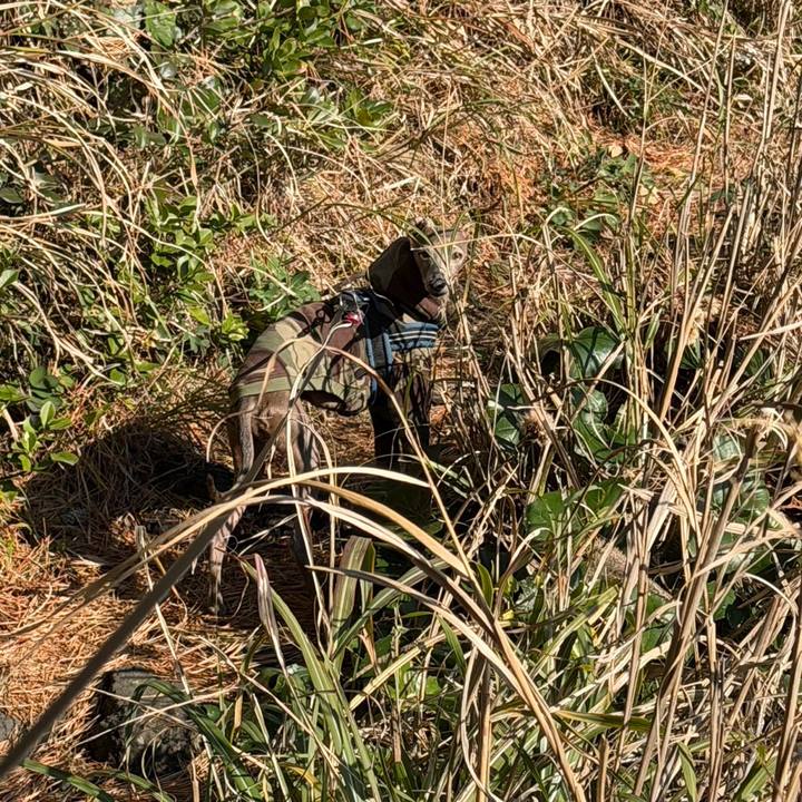 Bc005257 207d 43d4 a31d f0b39cf14b01 1771060281003