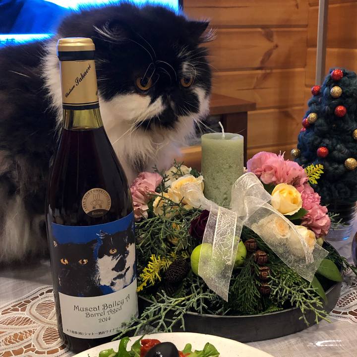 Bc006289 5e31 440a 869a bb5032c1d727 1545659884811