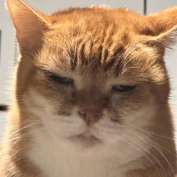 Bc006b91 9030 4a1b 8550 33605139262d 1767804429321