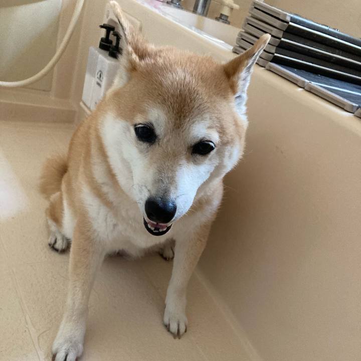 Bc008b26 0665 4165 873e 39796f96ff0e 1623318970687