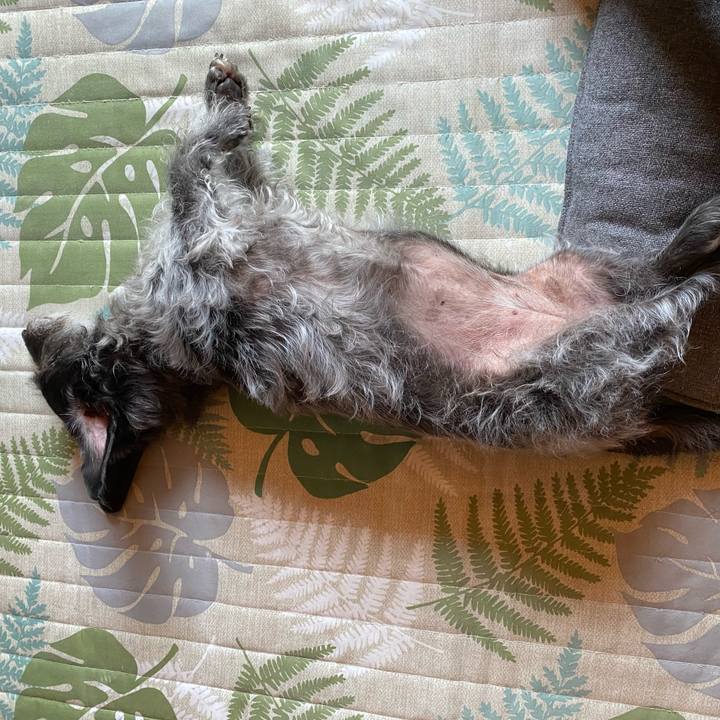 Bc00b273 1baf 44e5 966a a2dcc8bd2b6e 1627255332259