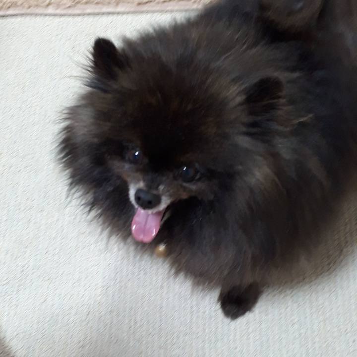 Bc00c3e5 51ec 44bd 918c 1649209931f3 1517609139634