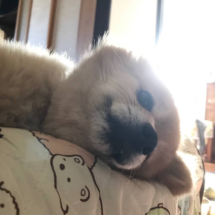 Bc00e598 c1fd 439a 8283 3cee06b7206b 1592100717421