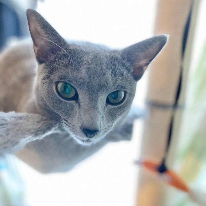 Bc00e659 1eb0 4e59 9a25 7d957a7020b9 1632470902903