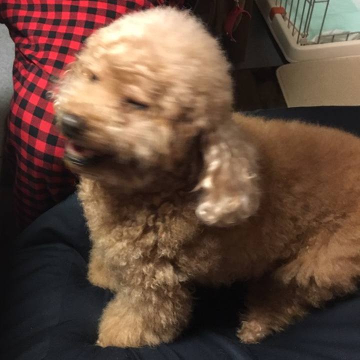 Bc00f34e c7e5 42da 87ee 6db149526ada 1556893252775