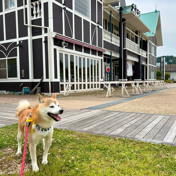 Bc010a5e 5d92 4427 acfb f273ccc7bf25 1718613093176