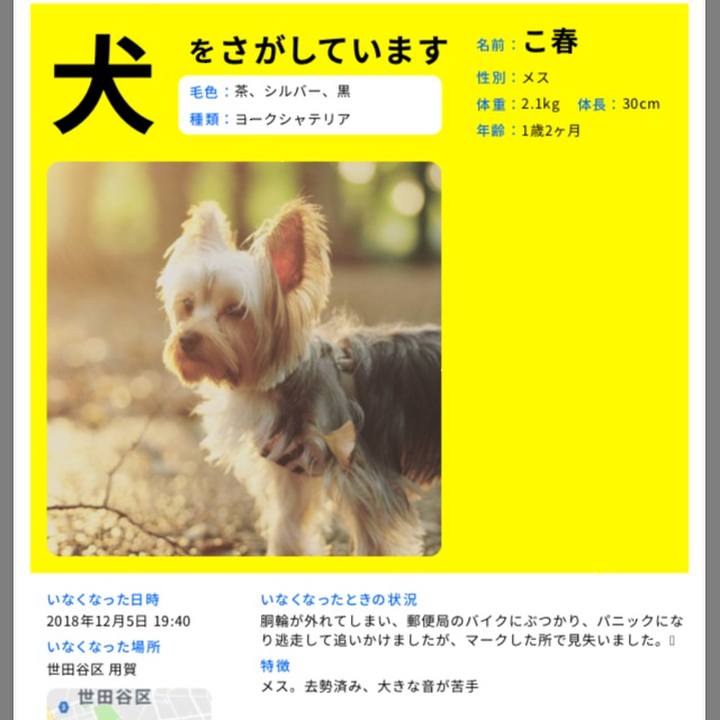 Bc0128e4 ac01 4864 95f1 2bc540425798 1544488793069