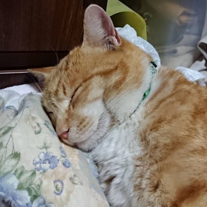 Bc01382d cb8c 4ebd b7e5 545078f799b8 1583759860796