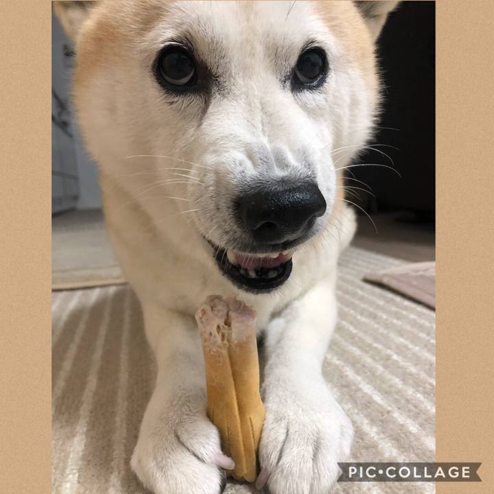 Bc0142a5 0597 4d92 a09f e468f9661523 1573863639328