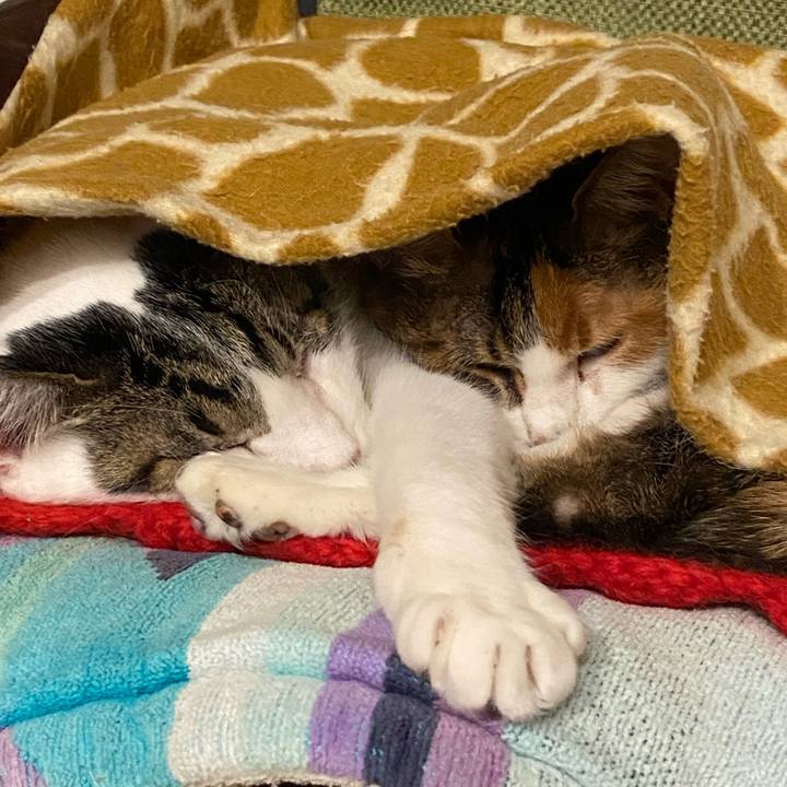 Bc015197 0a04 449f 92c4 466be7b78a68 1672063452113