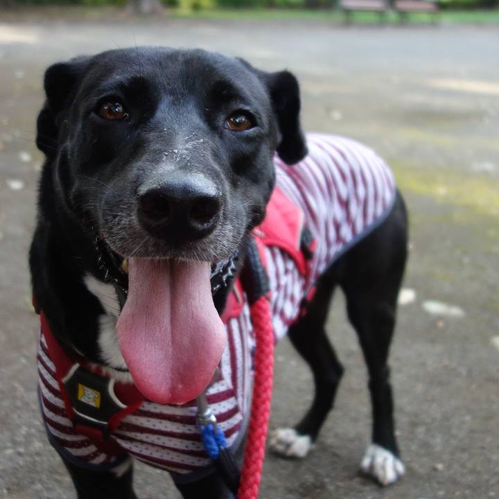 Bc017e1c f40e 426c afd0 ac96617d9403 1597708181604