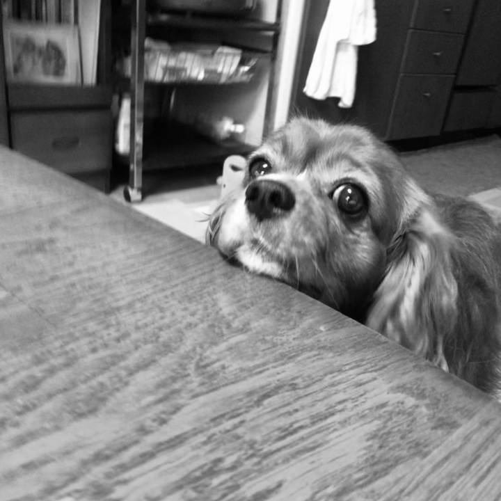 Bc01a112 9ee1 4dfd a5cb 55410cfa40aa 1624969162590