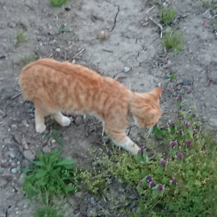 Bc01defc ac65 4c88 8243 385d82b46303 1557481336097