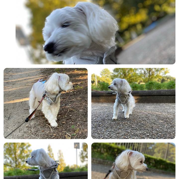 Bc020461 2521 4d58 b0c9 b5f03b19d153 1665828427122