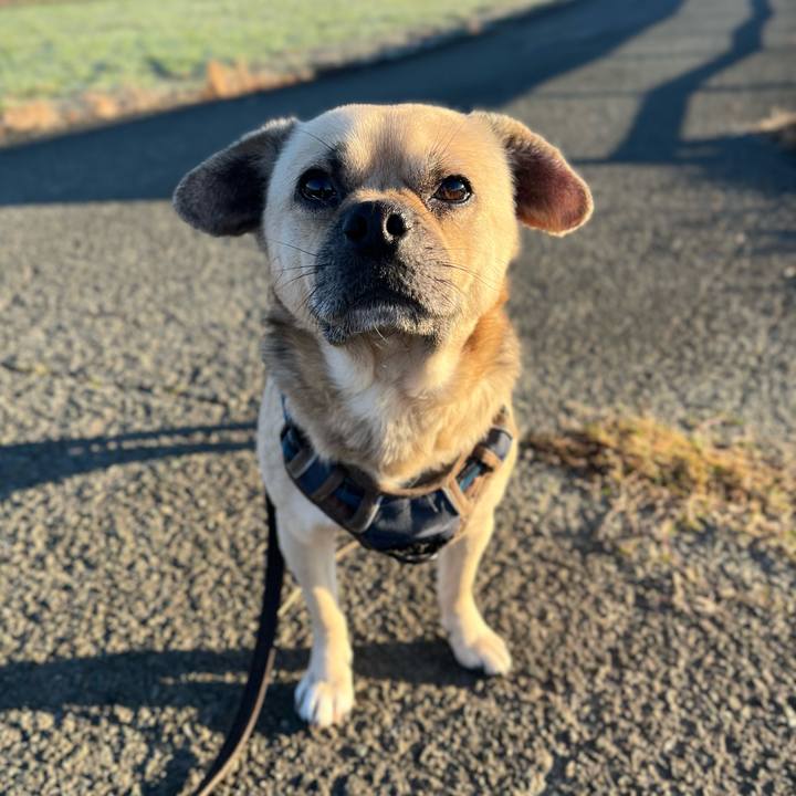 Bc02047e cd42 427a 98c8 364c82a12887 1766363618476