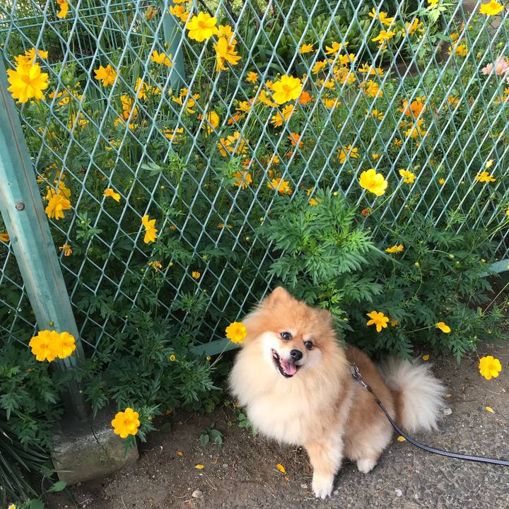 Bc0211d2 4041 47b8 bfac d8d7c5ae31f9 1531704533539