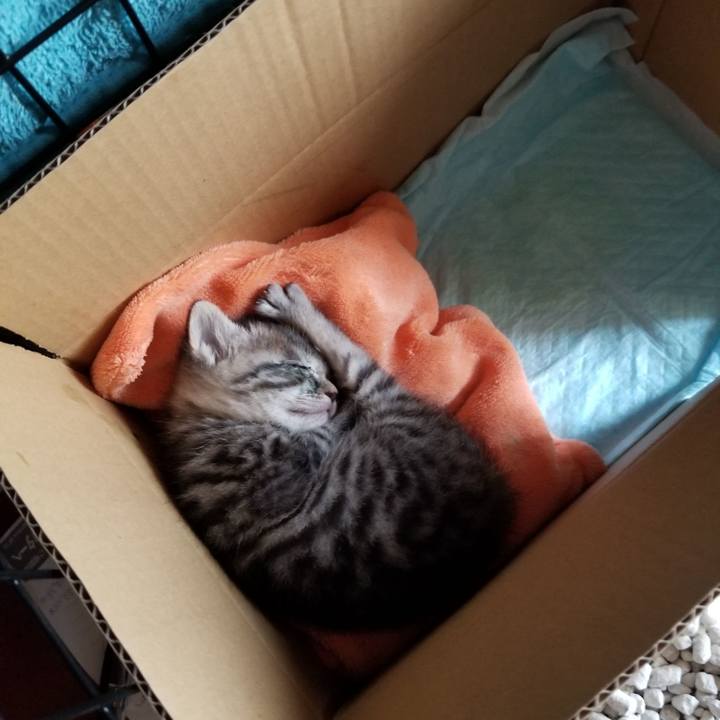 Bc0218c6 20d7 47a7 bbe4 2332a87cd5b5 1660046837798