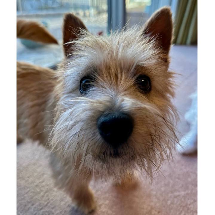 Bc026d37 26a6 4641 ba44 f93e08d73461 1708997798290