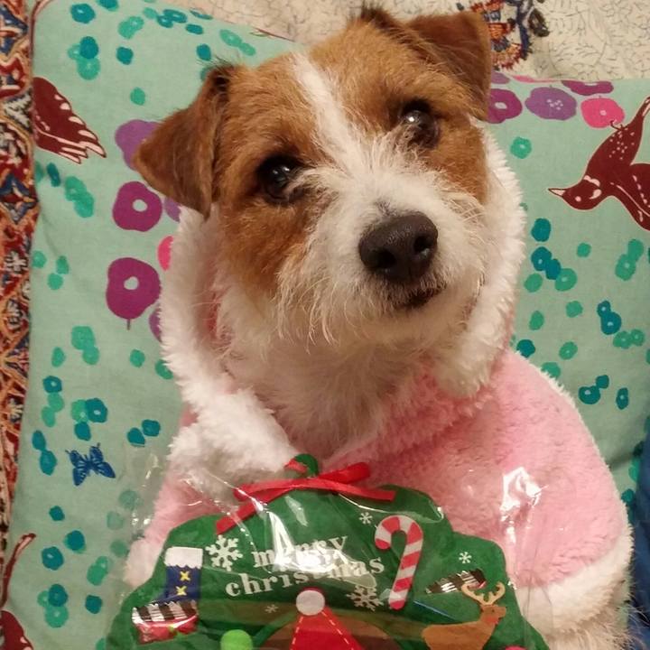 Bc02a9cd 42e1 4c50 a624 c412a9b8d2af 1545660225413