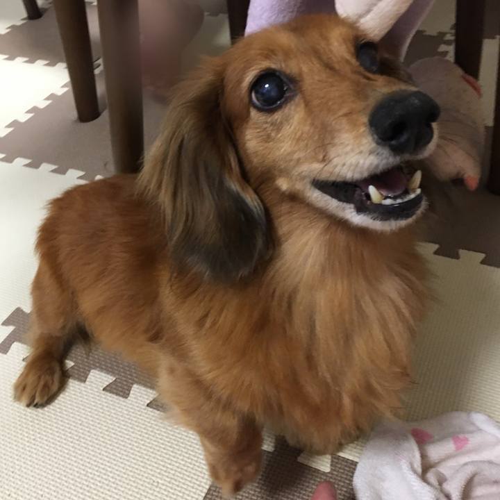 Bc02d563 9d78 48b7 a175 ffa9921f7b3c 1574342519572