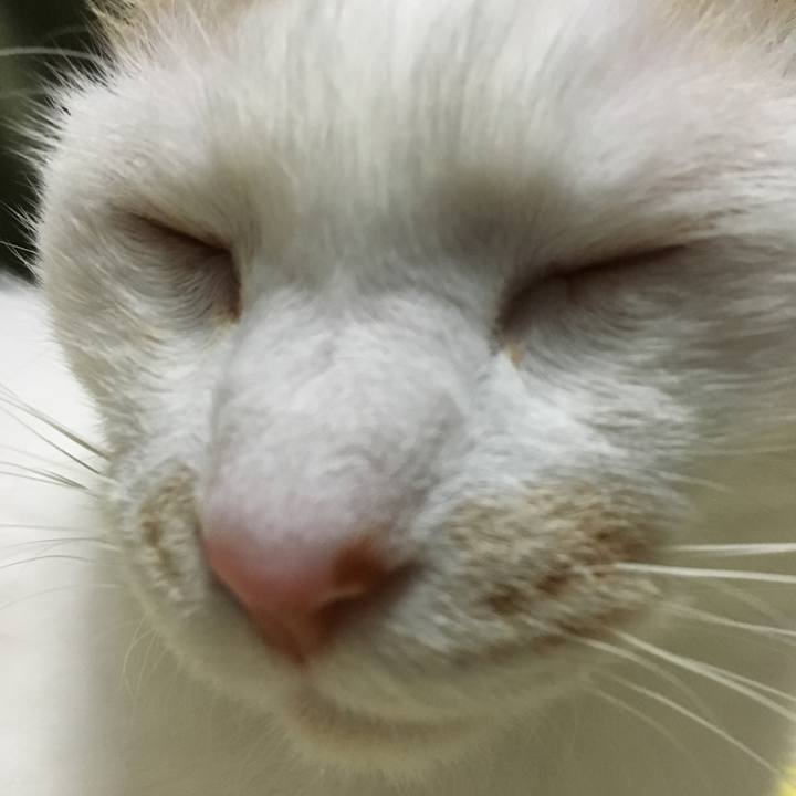 Bc02d5e1 1da3 4043 ae2a 52c1ee61d501 1528556951421