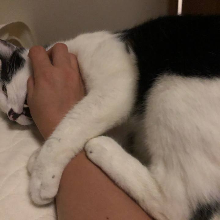 Bc03425b c853 4d88 8ee4 d6c00d6e80a4 1560430600321