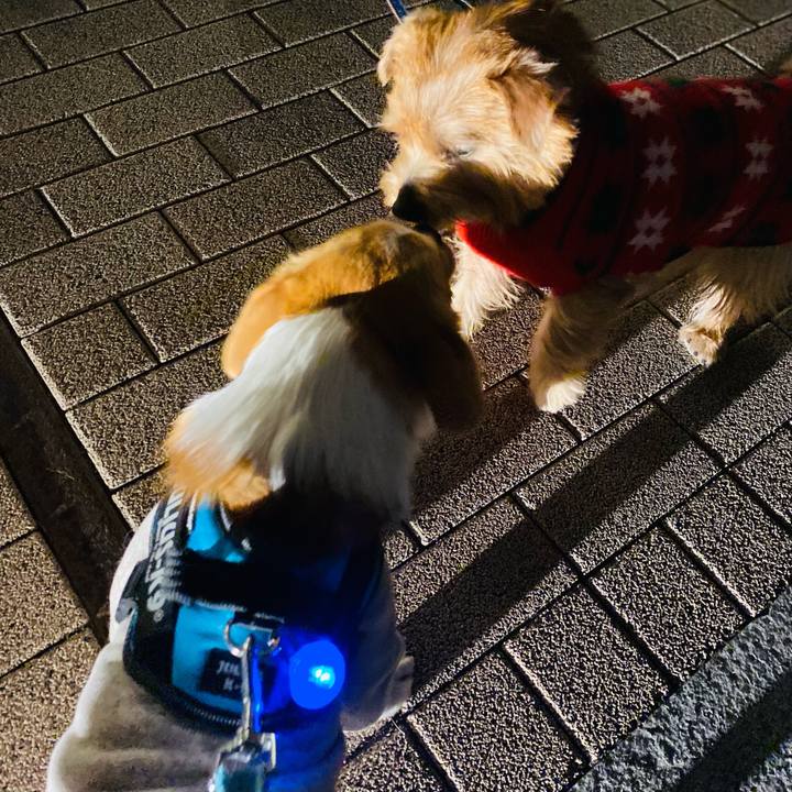 Bc034c25 79a0 46ea 9084 a76ffcfa3114 1608288924741