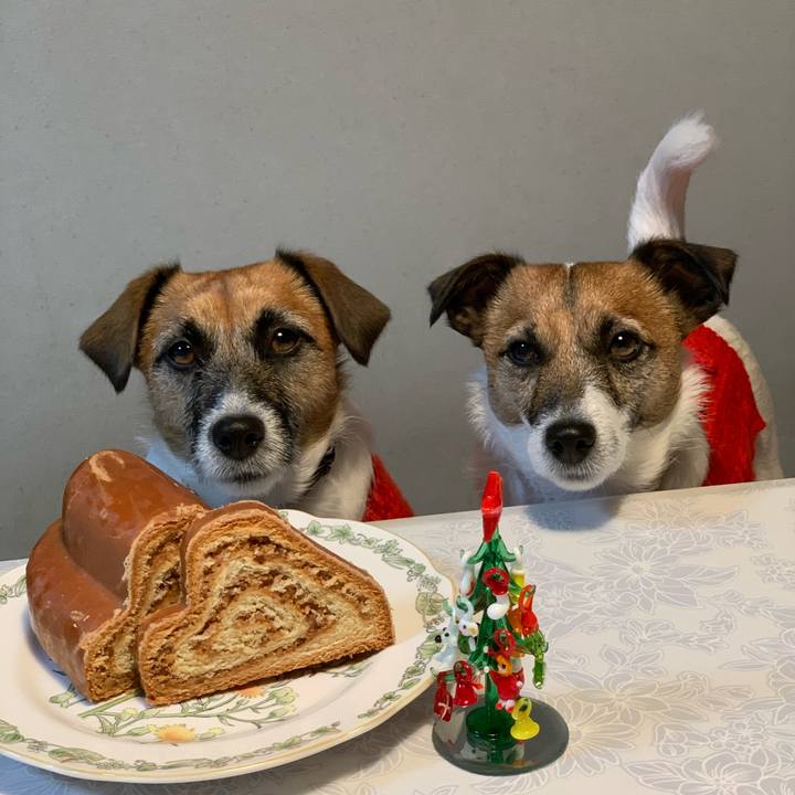 Bc03c361 7365 49f5 859c 07644df760f6 1577197485284