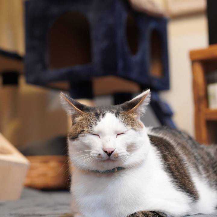 Bc03f312 9bfd 4ee4 8dd2 5338abe2be68 1587133502021