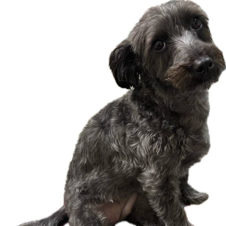 Bc04375e 562b 4a50 93c6 94d04500b49c 1758113777437