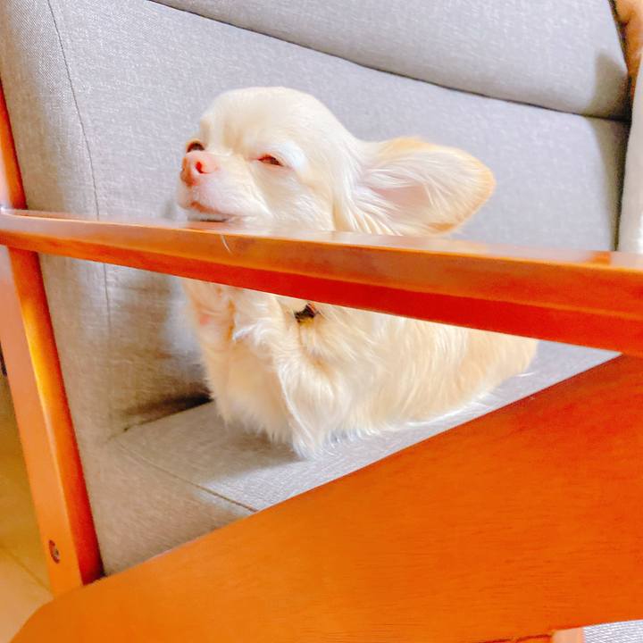 Bc046dc2 c4a7 48da 8faa 7fd62ec243b2 1646042996755