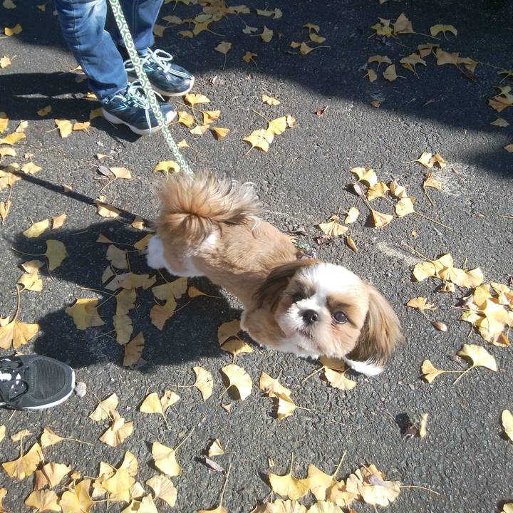 Bc04b44b 9287 4c4b a629 6dfb66bf4629 1541904183950