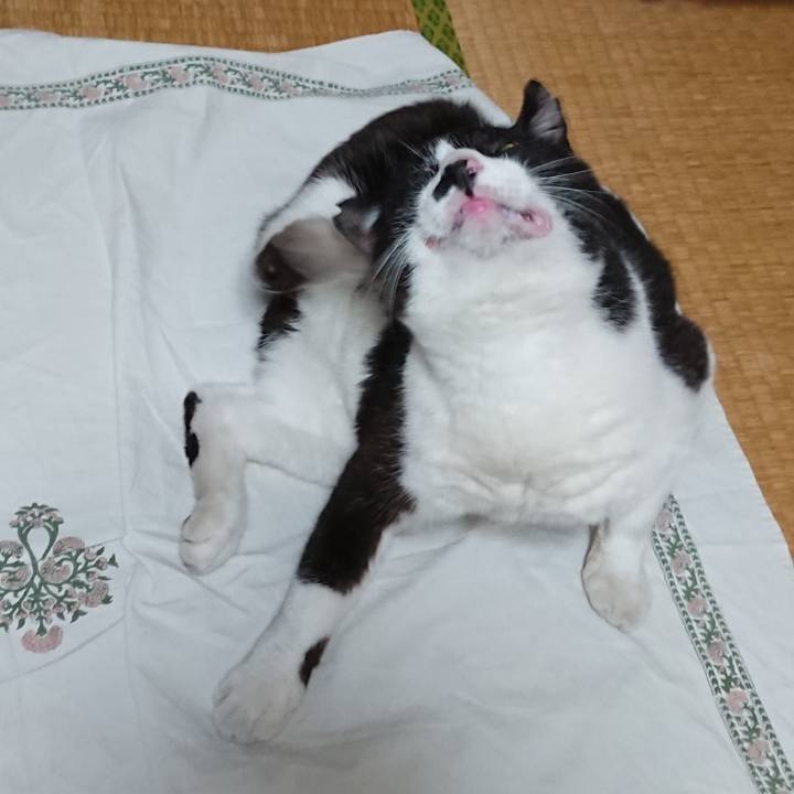 Bc04b46e b9d3 4002 b092 d5848f2bcf8a 1657282846442