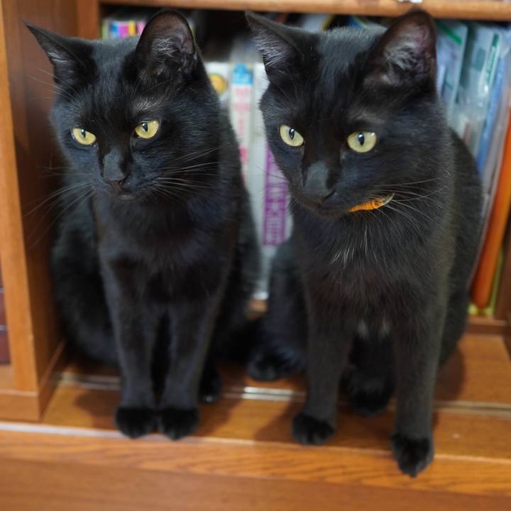 Bc04d176 7c81 404b 9045 337a51bfc79c 1590363821092