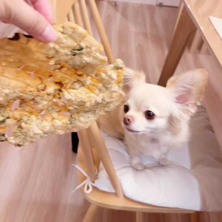 Bc04d92d 6fdb 43e1 bf22 e8900eac7b0e 1750677083490