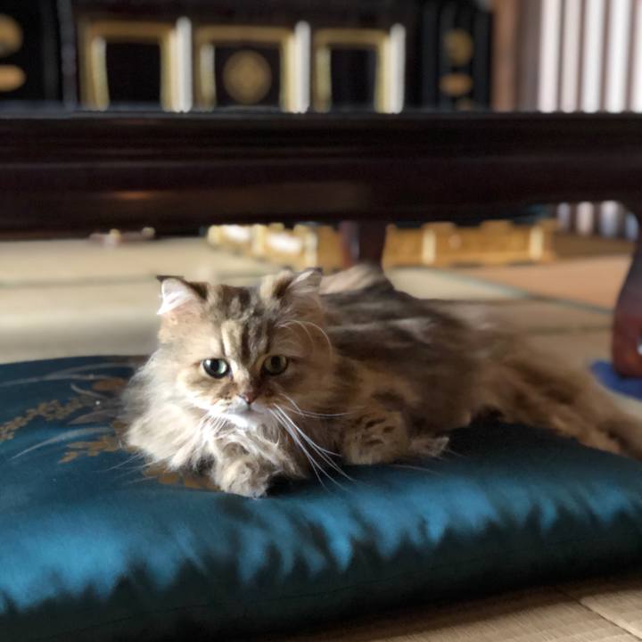 Bc05040a 521d 4cb3 8353 f4ec80c15d36 1556492456824