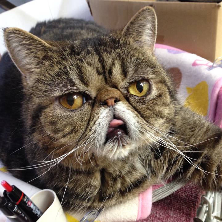 Bc051221 745c 4bdc 8afe 33e586dbadea 1546226120104