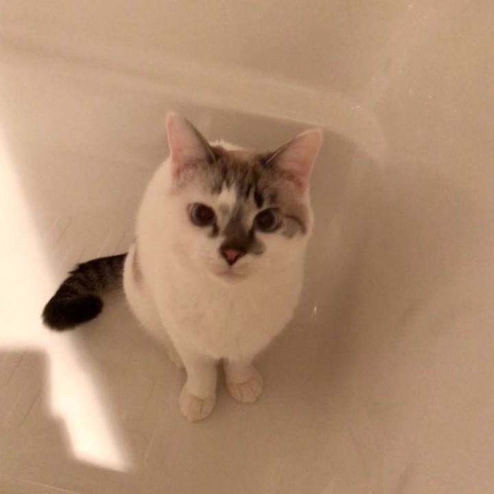 Bc0527aa c50a 4295 bac3 0a9bff80b14f 1515496905537