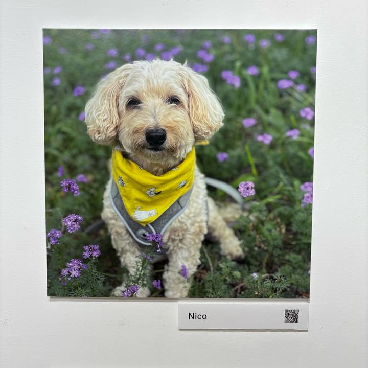 Bc052af0 6473 4488 8db6 ef1cdf8cae9c 1761651095107