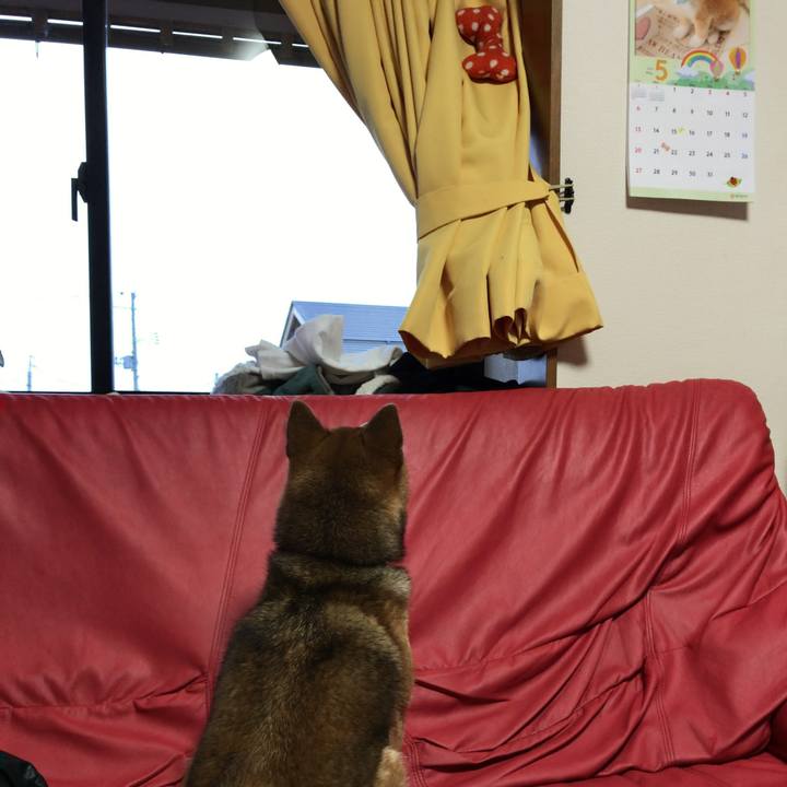 Bc0542b1 6d98 48db b9c2 515dd554a834 1525252342626