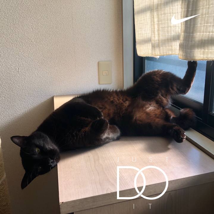 Bc054d5e 6815 45fb b625 f0c8d7a6a382 1642333856444