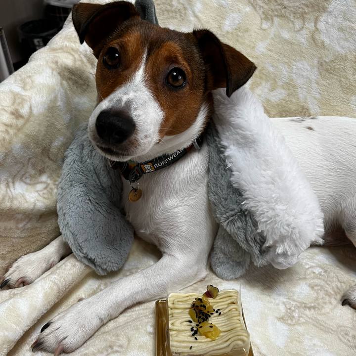 Bc055629 6f17 4dcd 8ea6 df0969dfe06e 1728721258046