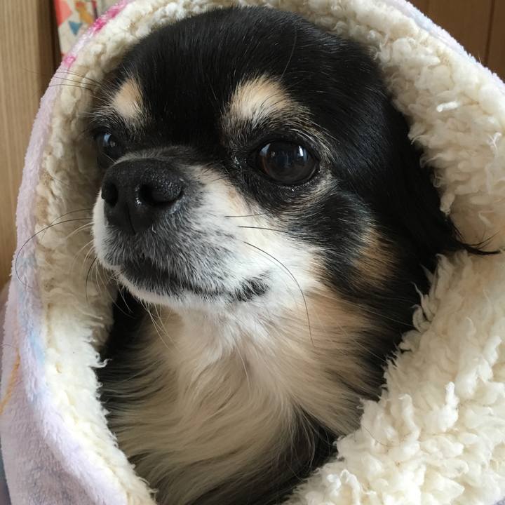 Bc055bd8 3ee4 4b13 bd9e bbede6c1c4b0 1510899411311