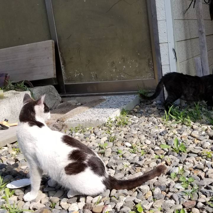 Bc05ebea d63a 4b5c 8a6d 9c0ecda49ff9 1563333234337