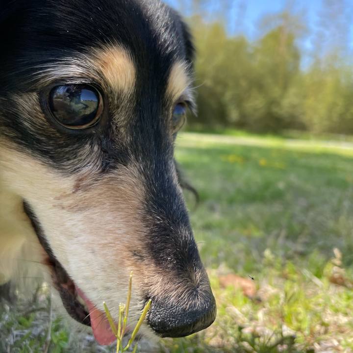 Bc05f8a8 4b64 4192 9b61 2f5b6f7fc8ad 1681186391116