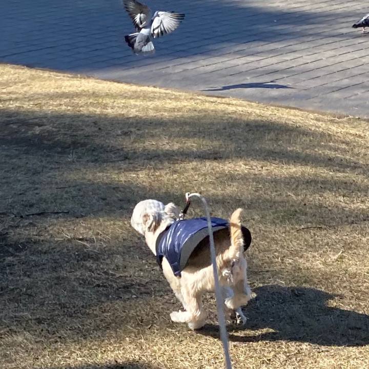 Bc060cf7 716a 44a1 848b 700bafd9a421 1576845367028